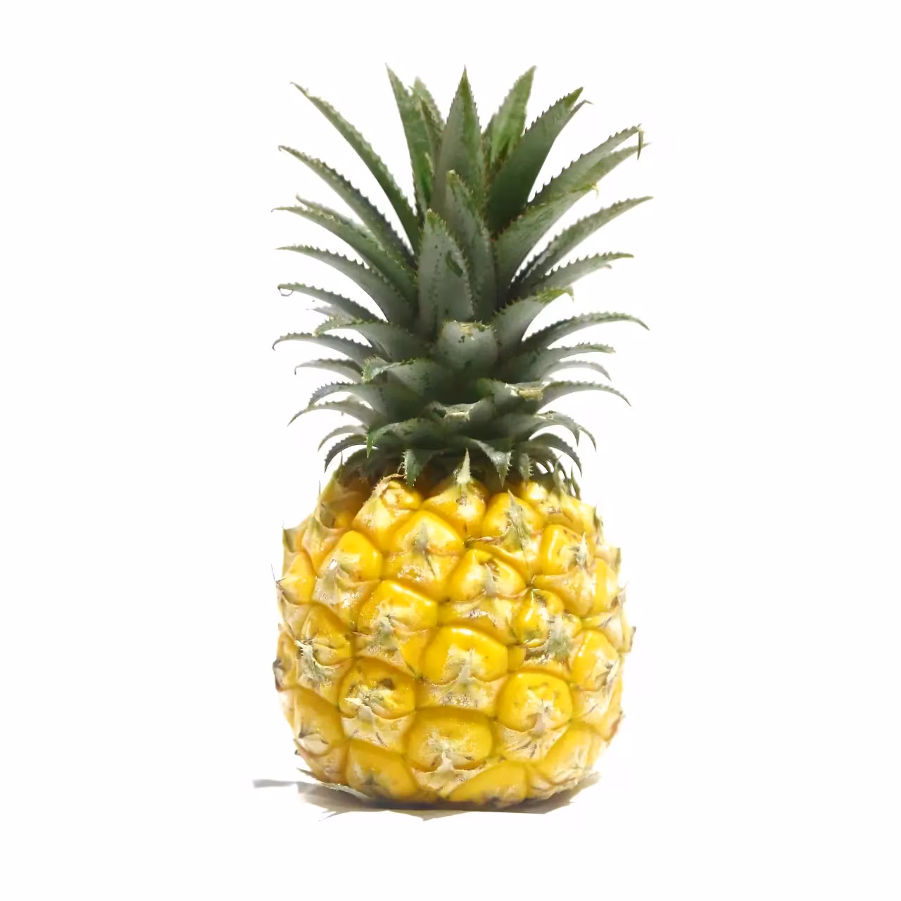 Baby Pineapple 500g RSA